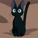 Shirgo