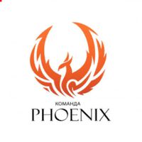 ●• Flaming Phoenix team ●•