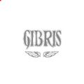 Аватар паблишера Gibris