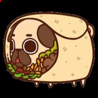 Pugi Translate
