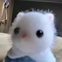 aesungg
