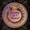 Аватар паблишера «Assembly of 9 SnakeS»