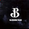 Аватар паблишера Blossom Team