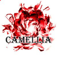 Camellia