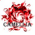 Аватар паблишера Camellia