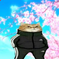 шизакидс)