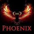 Аватар паблишера Little Phoenix