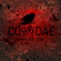 Аватар паблишера Corvidae Team