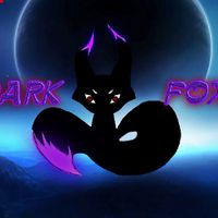 Dark Fox team