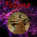 Аватар паблишера Feline