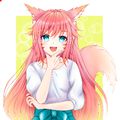 Аватар паблишера Fire Fox