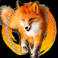 Аватар паблишера Fox Kingdom Team