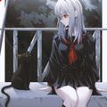 Аватар паблишера GooglePlay