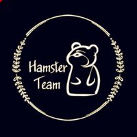 Hamster|Team