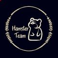Аватар паблишера Hamster|Team