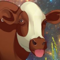 IVMOON