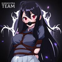 Kamasutra Team