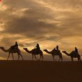 Аватар паблишера KaravanNovel