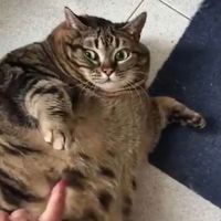 23:59
