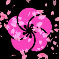 Miko Team