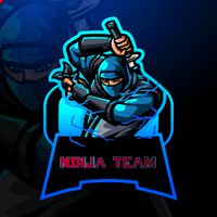 NINJA TEAAM