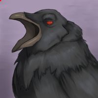 Raven/М.Ворон