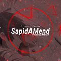 Аватар паблишера SapidAMend