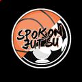 Аватар паблишера Spokon Jutsu Team