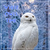 White Owls Time