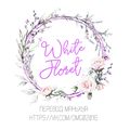 Аватар паблишера Team WhiteFloret