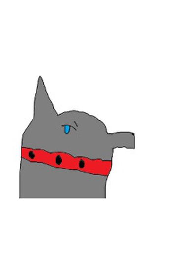 Обои