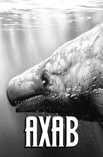 Обои