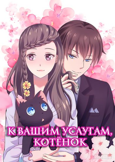 Обои