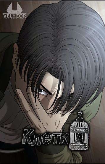 Обои