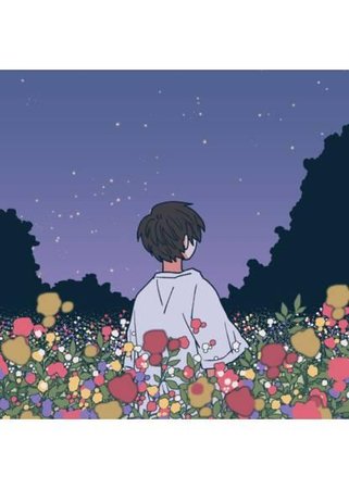 Обои