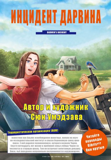 Обои
