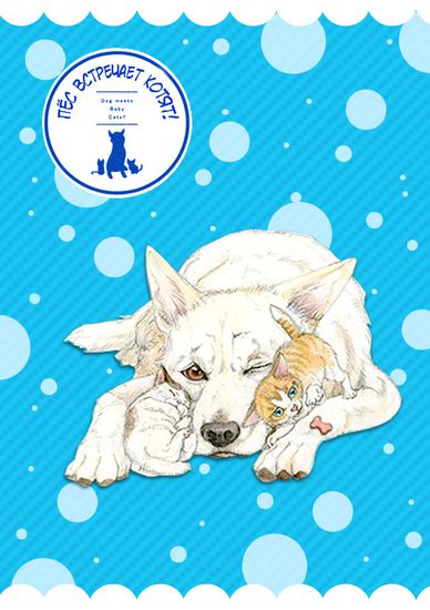Обои