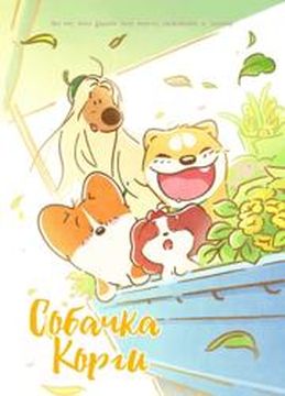 Обои