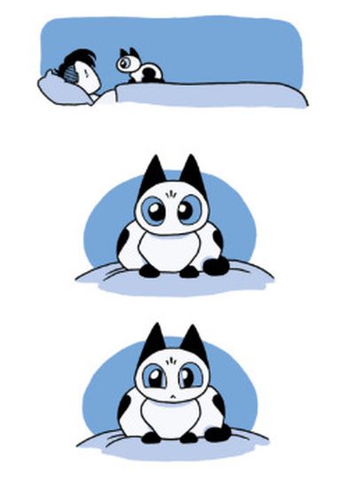 Обои