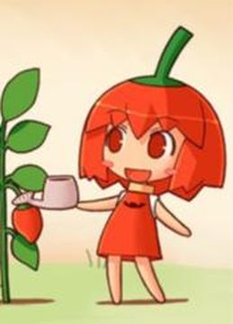 Обои