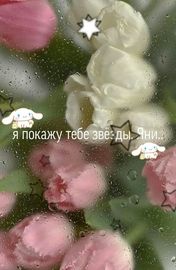 Я покажу тебе звёзды, Яни.