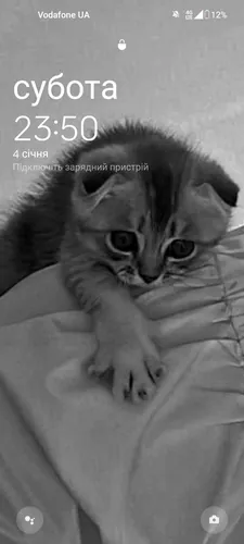 Обои