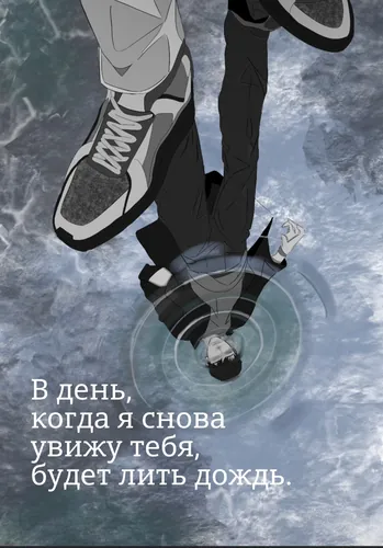 Обои