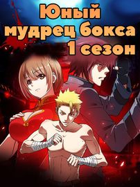 Юный мудрец бокса 1 сезон