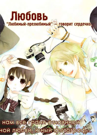 Обои