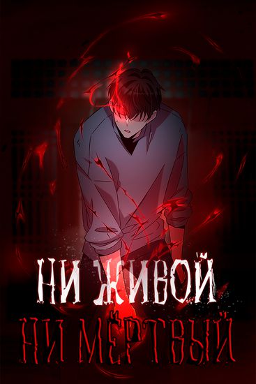 Обои