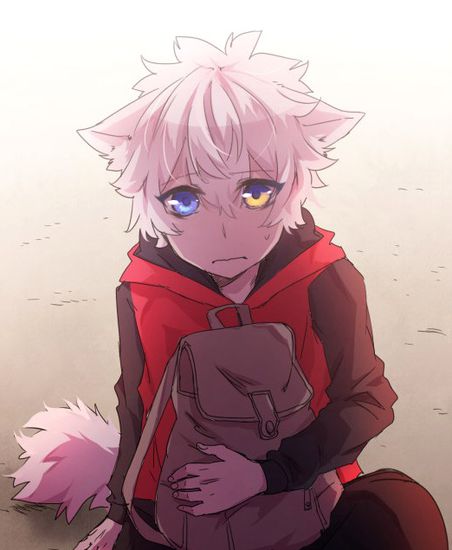 Обои