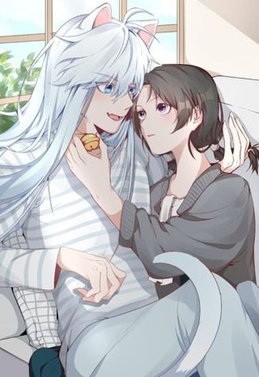 Обои