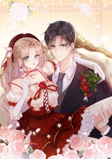 Обои