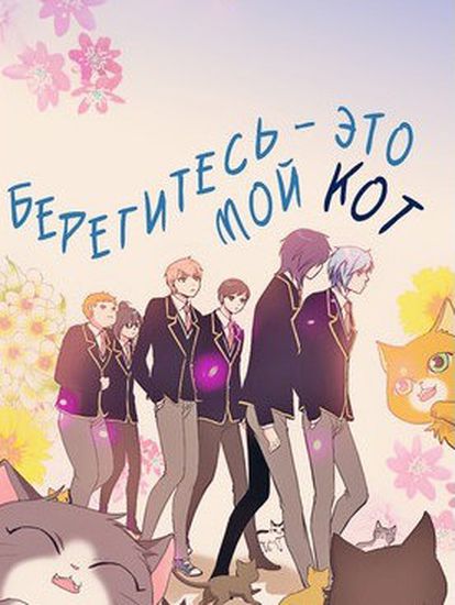 Обои